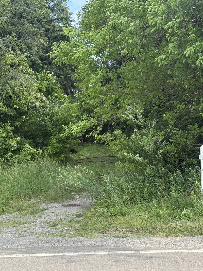 Sherwood Forest - Entrance As Of June 27 2025 (newer photo)